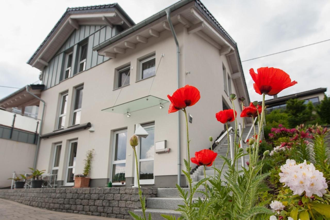 Wohnung Mit Talblick, Ladestation E-Auto Siegen Dış mekan fotoğraf